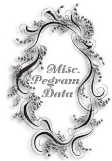misc.jpeg (19462 bytes)